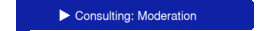 Consulting: Moderation