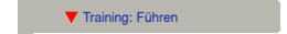 Training: Führen